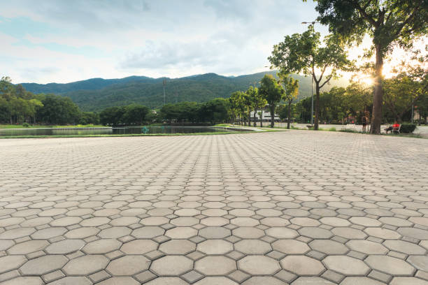 Best Paver Driveway Replacement  in Kearny, AZ